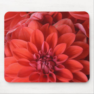 Alfombrilla De Ratón Hermosas flores rojas de dahlia
