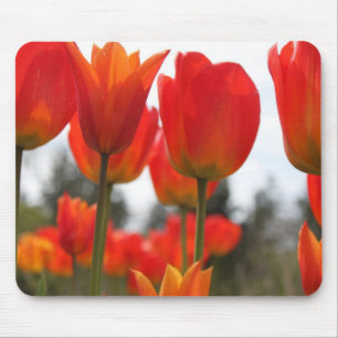 Alfombrilla De Ratón Hermosas Flores Rojas De Tulipanes.