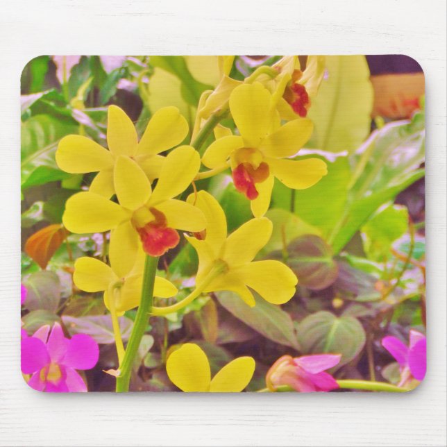 Alfombrilla De Ratón Hermosas orquídeas amarillas de otoño (Frente)