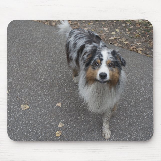 Alfombrilla De Ratón Hermoso Aussie multicolor (Frente)