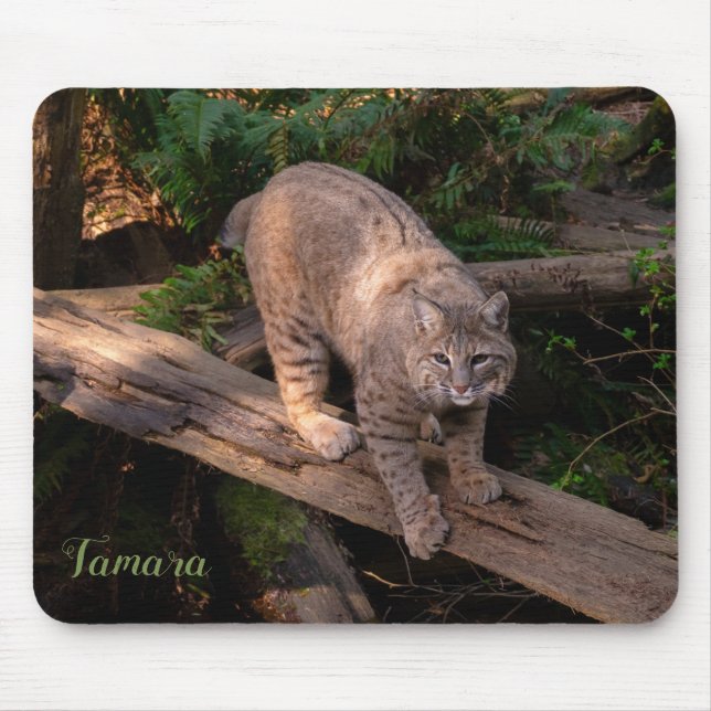Alfombrilla De Ratón Hermoso Bobcat Wildlife Lover Nombre personalizado (Frente)