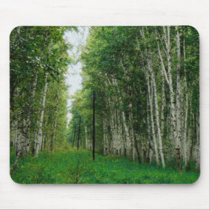 Alfombrilla De Ratón Hermoso bosque Birch Tree