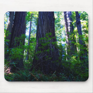 Alfombrilla De Ratón Hermoso bosque de secuoya