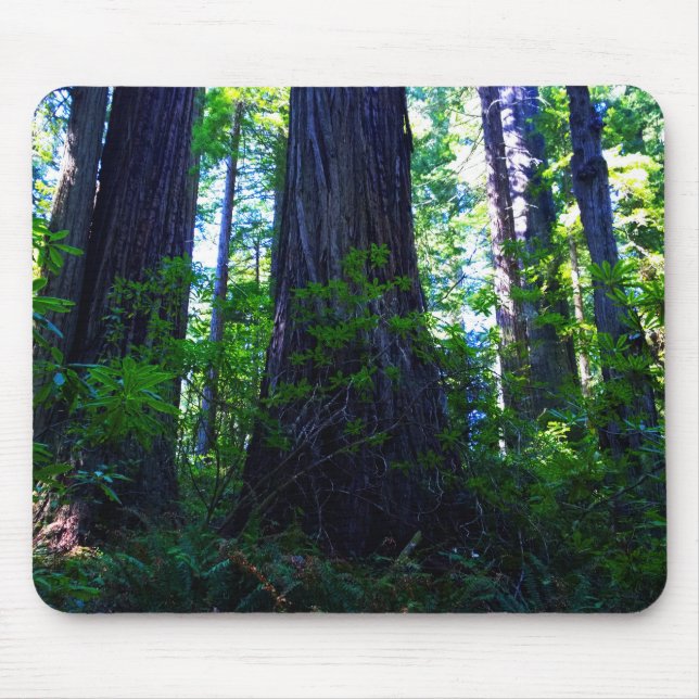 Alfombrilla De Ratón Hermoso bosque de secuoya (Frente)