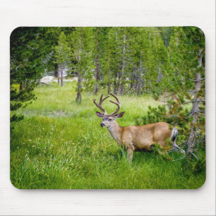 Alfombrilla De Ratón Hermoso Buck en el pradera Mousepad