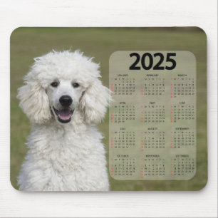 Alfombrilla De Ratón Hermoso calendario de perros de White Poodle 2025