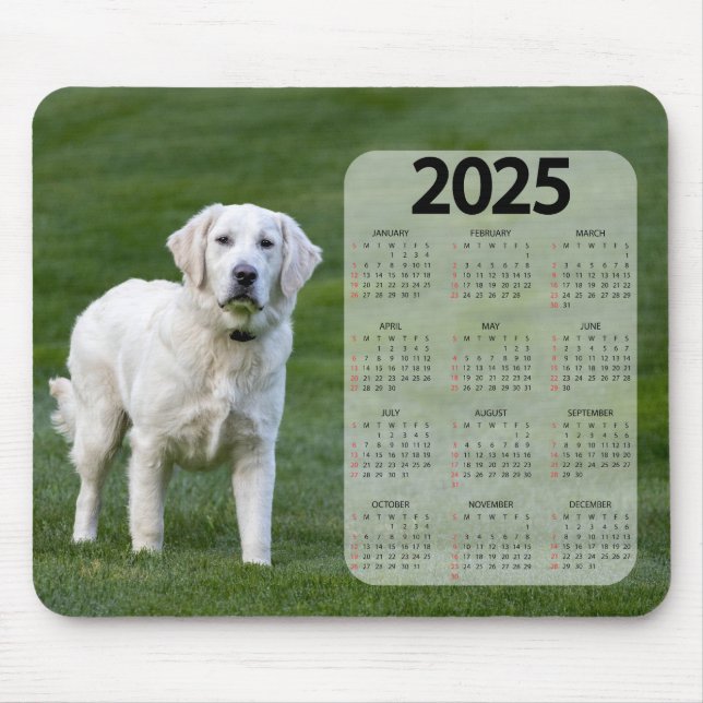 Alfombrilla De Ratón Hermoso calendario de perros del Labrador Blanco 2 (Frente)