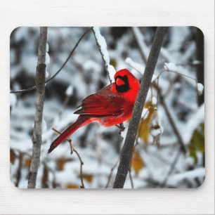 Alfombrilla De Ratón Hermoso Cardenal Rojo Brillante en la Nieve