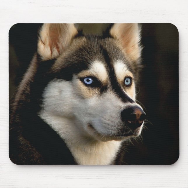 Alfombrilla De Ratón Hermoso Cojín decorativo Husky (Frente)