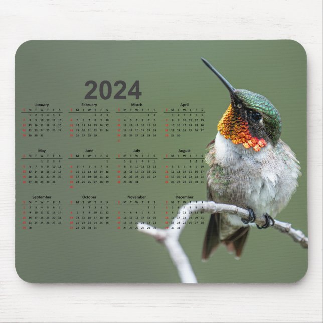 Alfombrilla De Ratón Hermoso Colibrí en el calendario Branch 2024 (Frente)