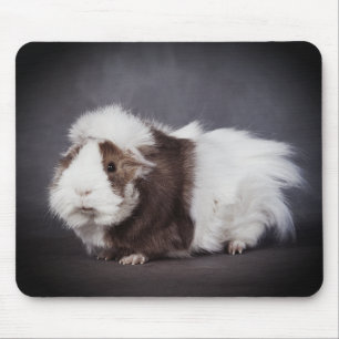 Alfombrilla De Ratón Hermoso conejillo de indias, Funda para ratón