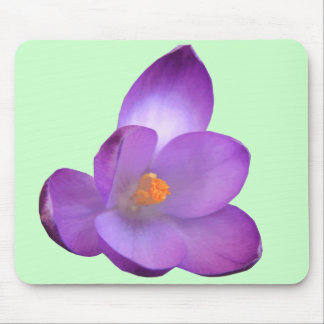 Alfombrilla De Ratón Hermoso Crocus Mousepad