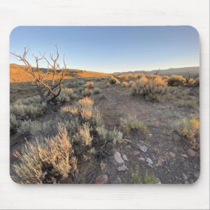 Alfombrilla De Ratón Hermoso desierto de Nevada