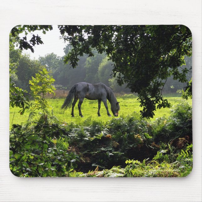 Alfombrilla De Ratón Hermoso diseño de animales equinos de amante de lo (Frente)