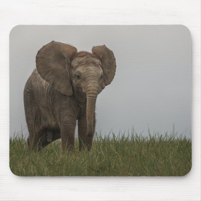 Alfombrilla De Ratón Hermoso elefante de Bush africano (Frente)