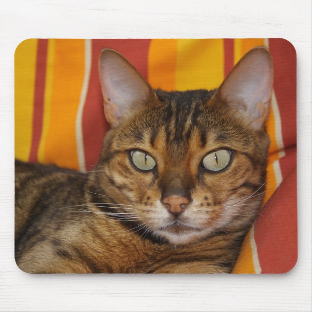 Alfombrilla De Ratón Hermoso gato bengalí (Frente)