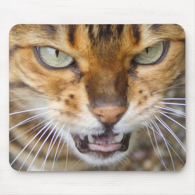 Alfombrilla De Ratón Hermoso gato bengalí (Frente)