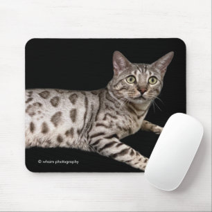 Alfombrilla De Ratón Hermoso gato bengalí relajándose en el condominio