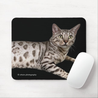 Alfombrilla De Ratón Hermoso gato bengalí relajándose en el condominio