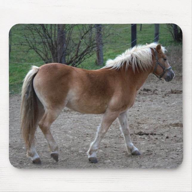 Alfombrilla De Ratón Hermoso Haflinger (Frente)
