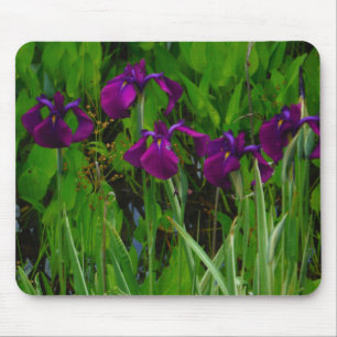 Alfombrilla De Ratón Hermoso Iris Morado