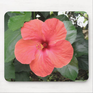 Alfombrilla De Ratón Hermoso Naranja Hibiscus Flower Mousepad