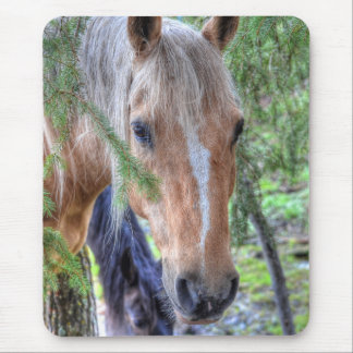 Alfombrilla De Ratón Hermoso Palomino Paint Caballo y ramas en lluvia