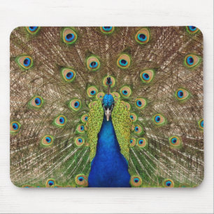 Alfombrilla De Ratón Hermoso pavo real y plumas imprimir sepad