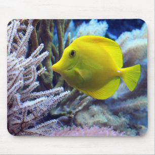 Alfombrilla De Ratón Hermoso pez colmillo amarillo y coral