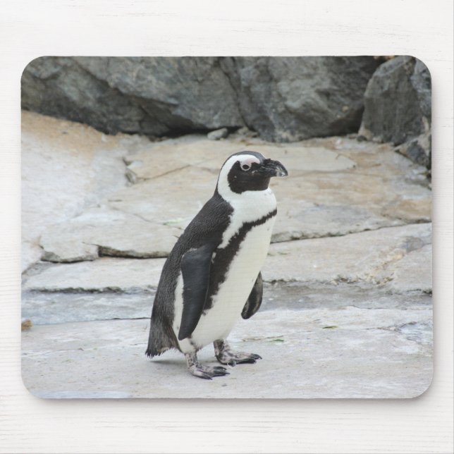 Alfombrilla De Ratón Hermoso pingüino blanco y negro sobre las rocas (Frente)