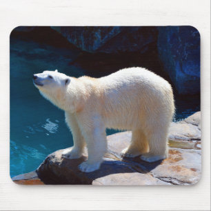 Alfombrilla De Ratón Hermoso ratón de oso polar