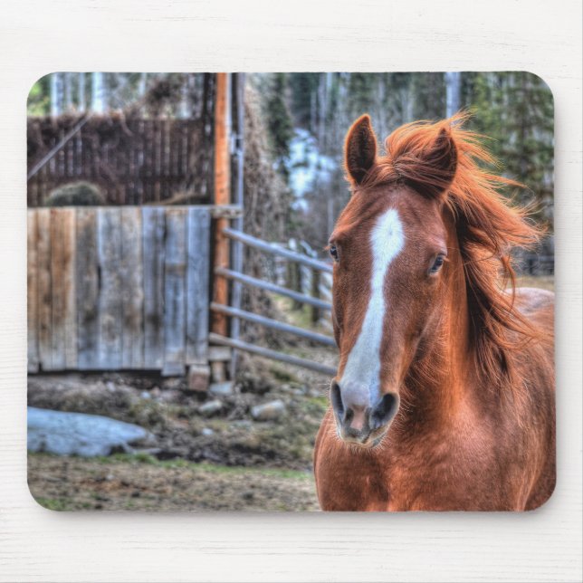 Alfombrilla De Ratón Hermoso Red Dun Ranch Horse Equine Foto (Frente)
