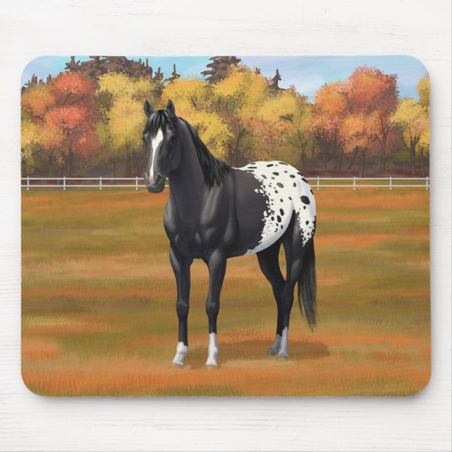 Alfombrilla De Ratón Hermoso Stallion de Caballo de Barrio Appaloosa Ne (Frente)
