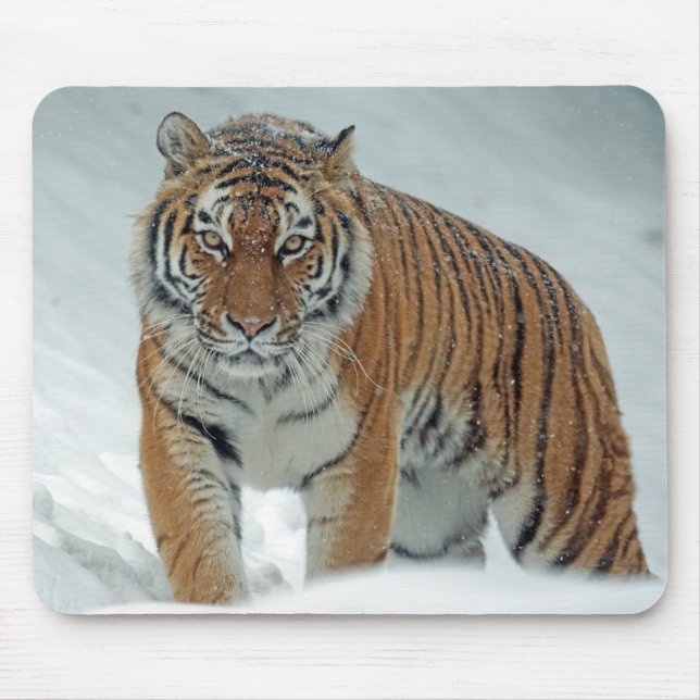 Alfombrilla De Ratón Hermoso tigre en la nieve (Frente)