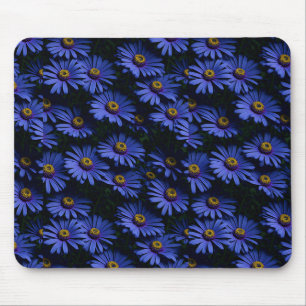 Alfombrilla De Ratón Hermosos Asters azules