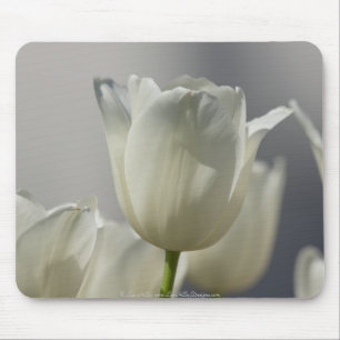 Alfombrilla De Ratón Hermosos Tulipanes Blancos de Primavera