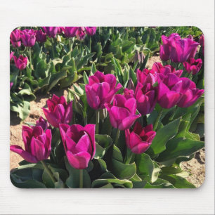 Alfombrilla De Ratón Hermosos Tulips
