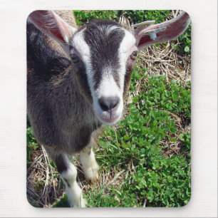 Alfombrilla De Ratón Hi There Goat