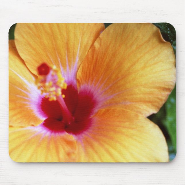 Alfombrilla De Ratón Hibisco, amarillo-naranja (Frente)