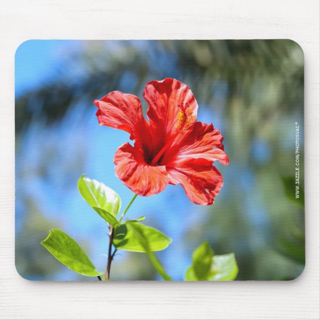 Alfombrilla De Ratón Hibisco Rojo (Frente)