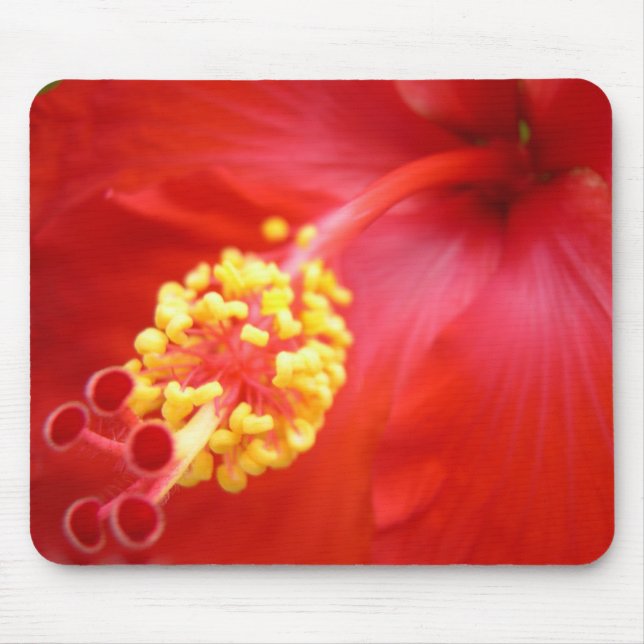Alfombrilla De Ratón Hibisco rojo Mousepad (Frente)