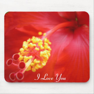 Alfombrilla De Ratón ¡Hibisco rojo Mousepad - su texto!