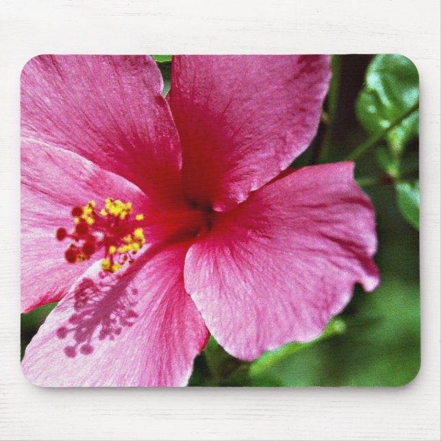 Alfombrilla De Ratón Hibisco, rosa (Frente)
