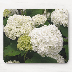 Alfombrilla De Ratón Hidrangea blanca