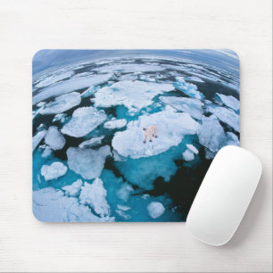 Alfombrilla De Ratón Hielo y nieve   Oso Polar, Océano Ártico, Svalbard