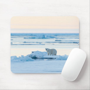 Alfombrilla De Ratón Hielo y nieve   Polar Bear Iceberg Noruega