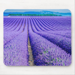 Alfombrilla De Ratón Hileras de lavanda, Provenza, Francia