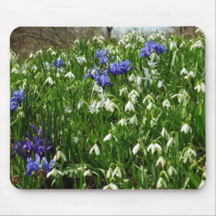 Alfombrilla De Ratón Hillside of Early Spring Flowers Landscape