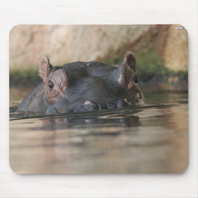 Alfombrilla De Ratón Hipopótamo Mousepad (Frente)