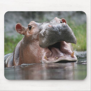 Alfombrilla De Ratón Hipopótamo Mousepad